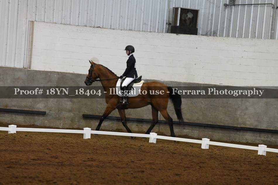 Proof 18YN_18404
