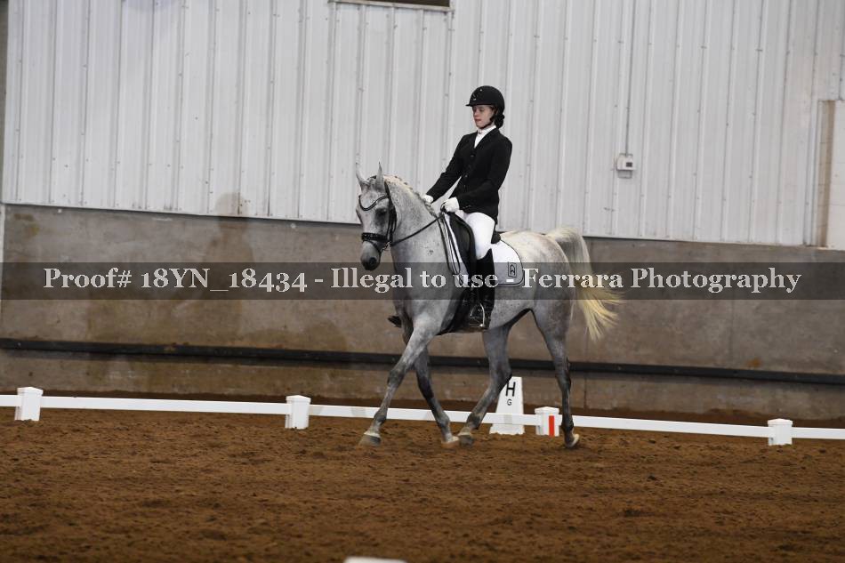 Proof 18YN_18434