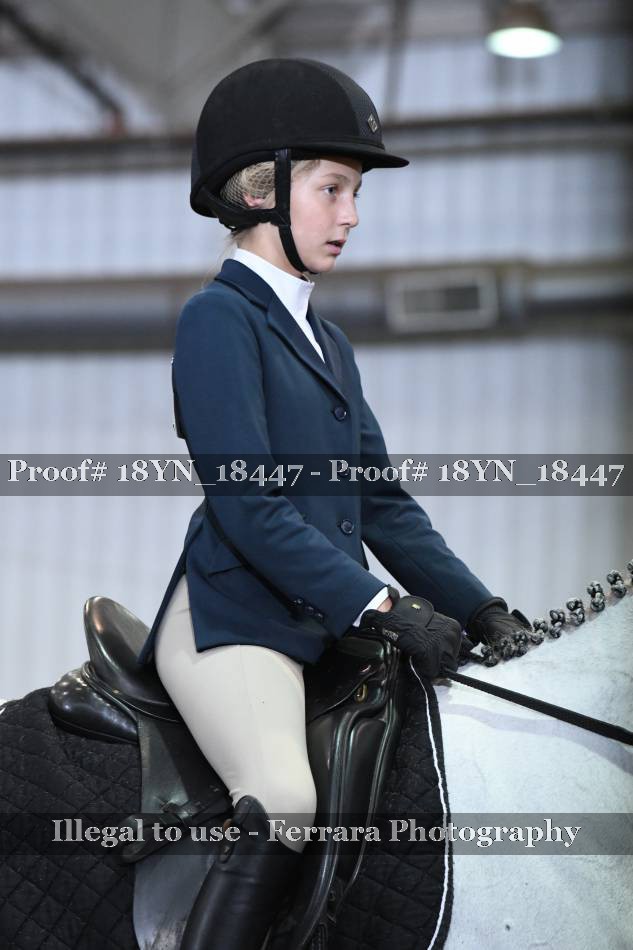 Proof 18YN_18447