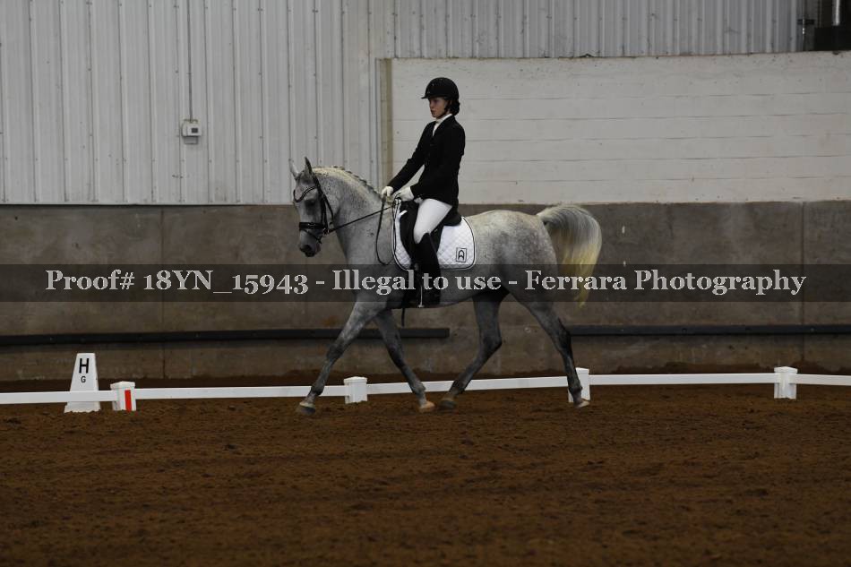 Proof 18YN_15943