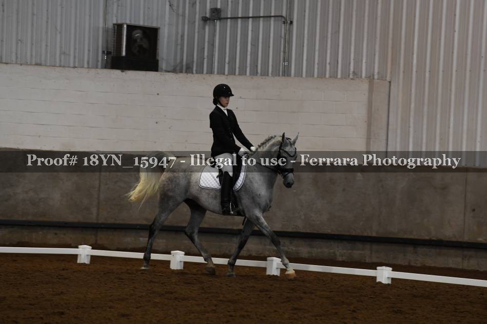 Proof 18YN_15947