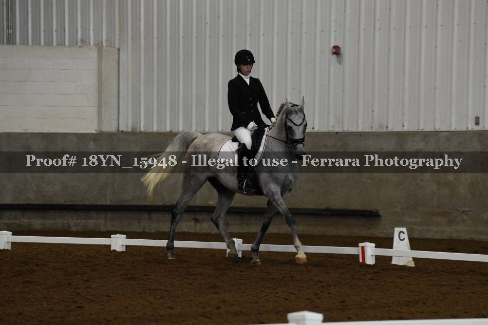 Proof 18YN_15948