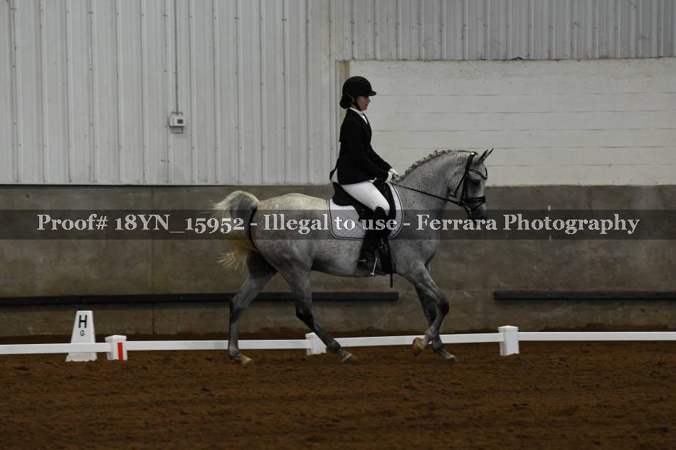 Proof 18YN_15952