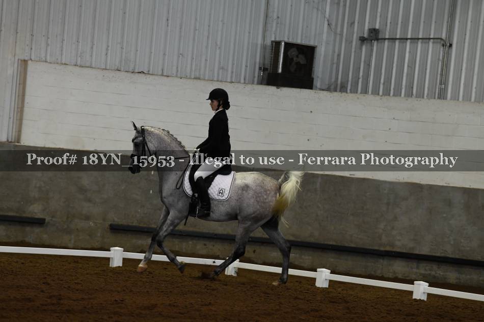 Proof 18YN_15953
