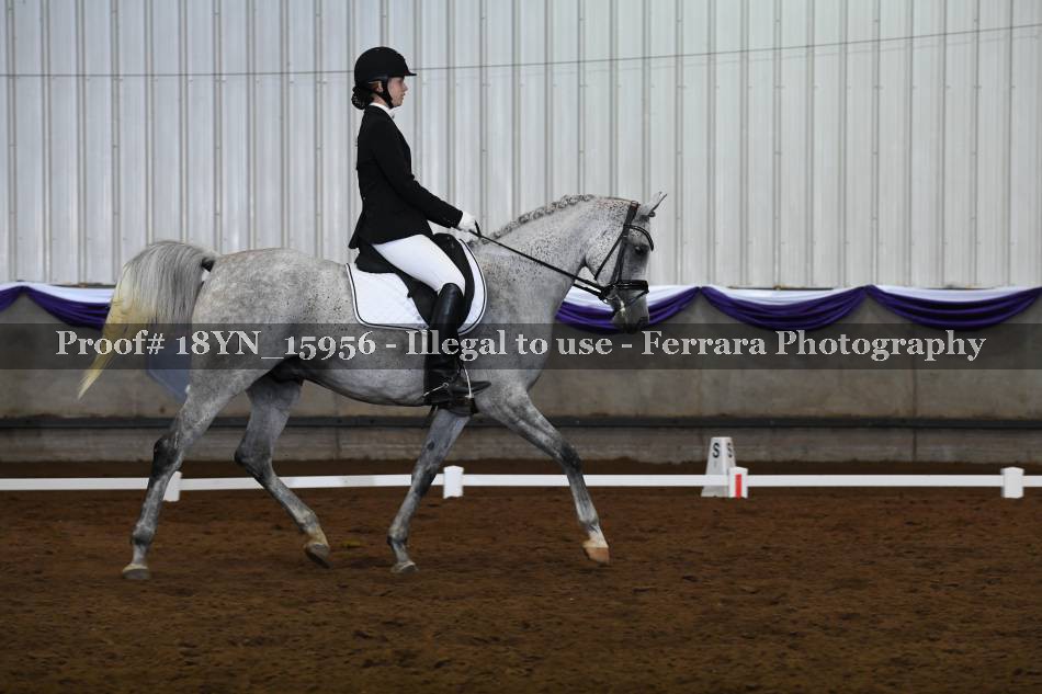 Proof 18YN_15956