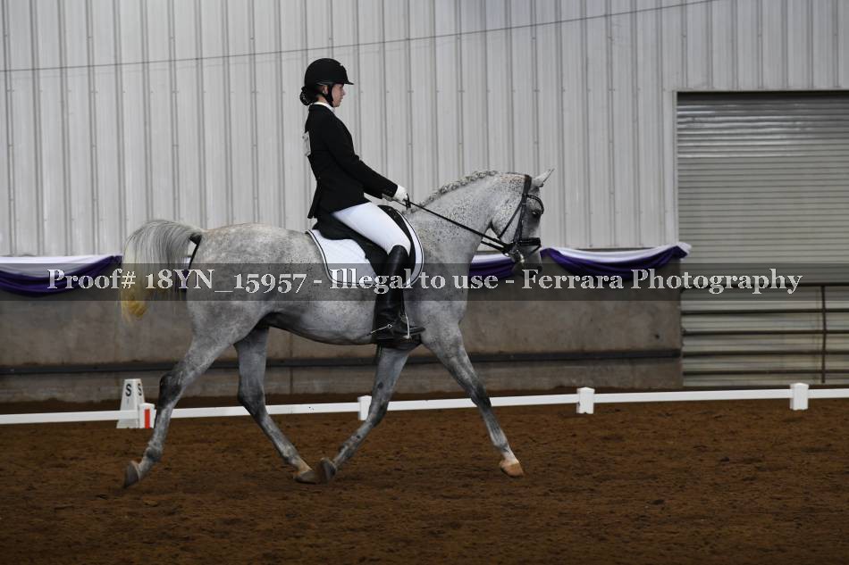Proof 18YN_15957