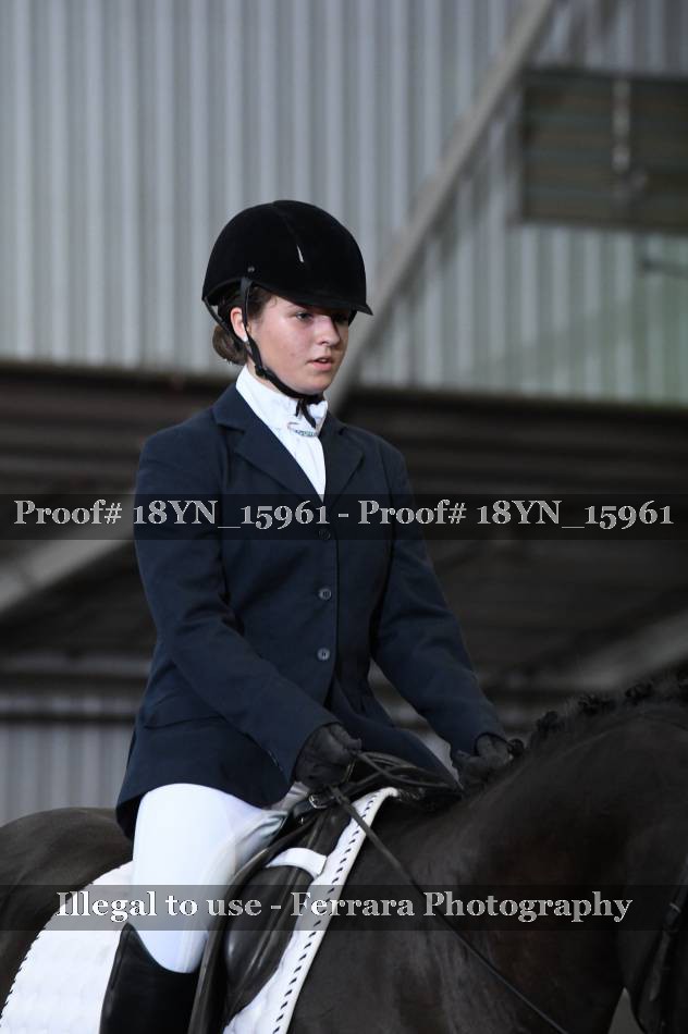 Proof 18YN_15961