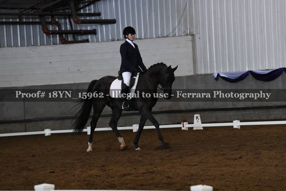 Proof 18YN_15962