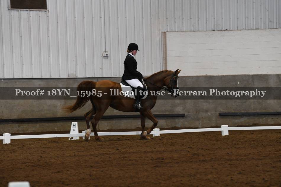 Proof 18YN_15985
