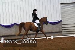 18YN_16000 proof
