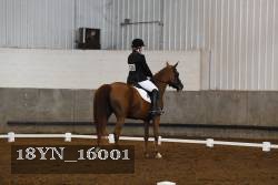 18YN_16001 proof