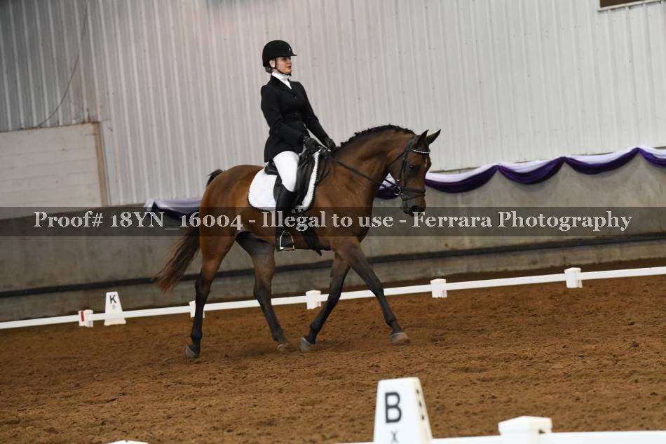 Proof 18YN_16004
