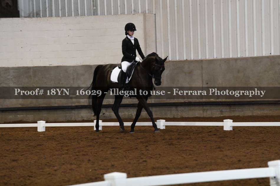 Proof 18YN_16029