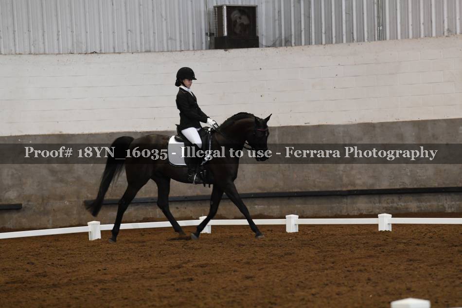 Proof 18YN_16035