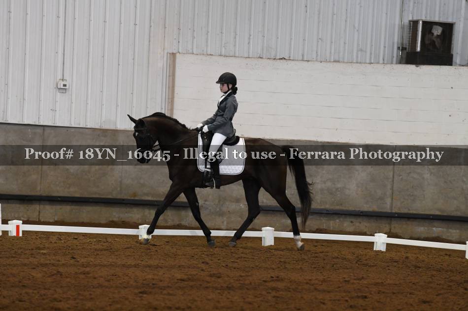 Proof 18YN_16045