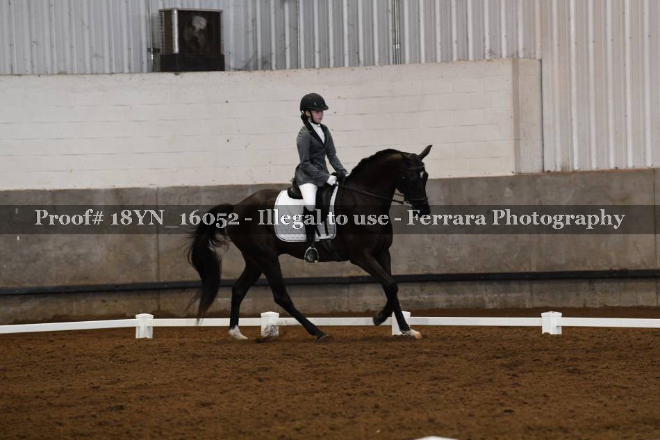 Proof 18YN_16052