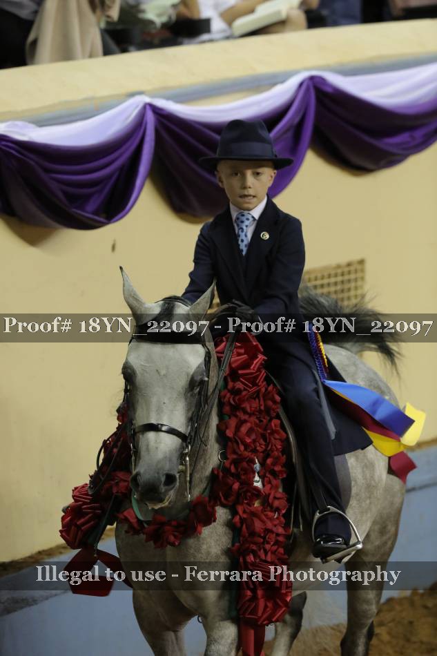 Proof 18YN_22097