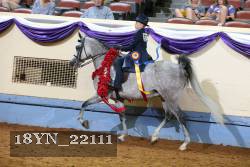 18YN_22111 proof