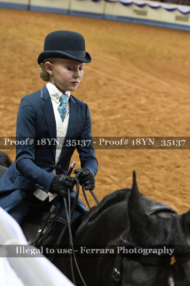 Proof 18YN_35137