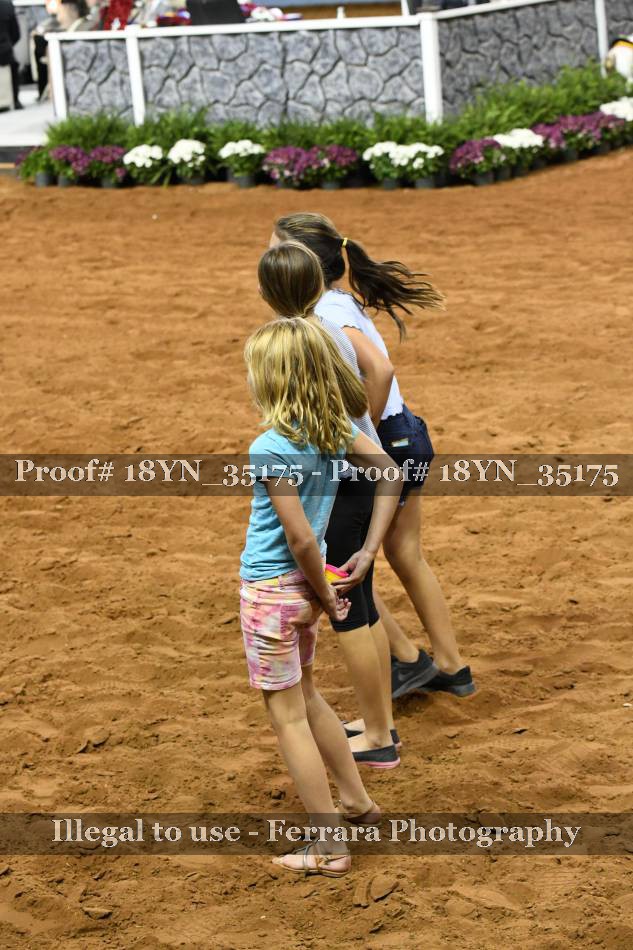 Proof 18YN_35175