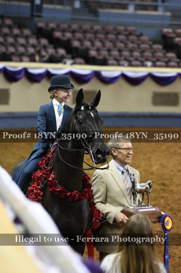 Proof 18YN_35190