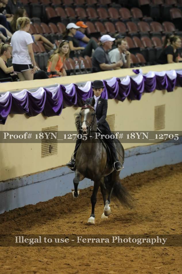 Proof 18YN_12705