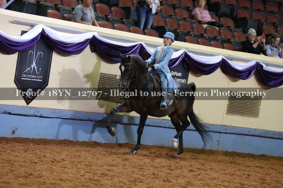 Proof 18YN_12707