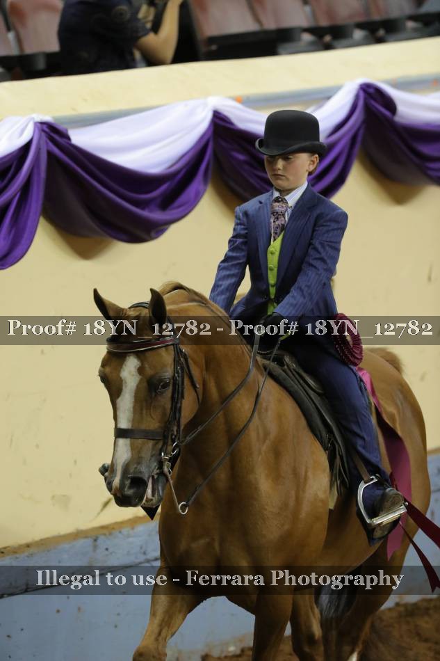 Proof 18YN_12782
