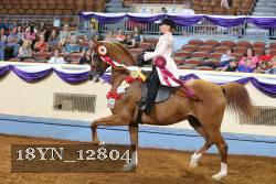 18YN_12804 proof