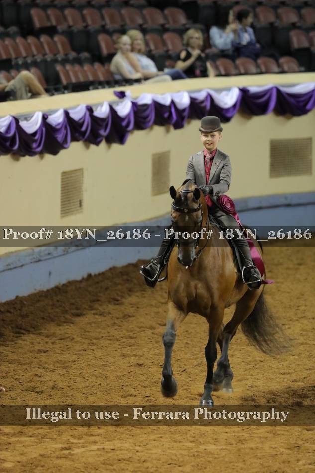 Proof 18YN_26186