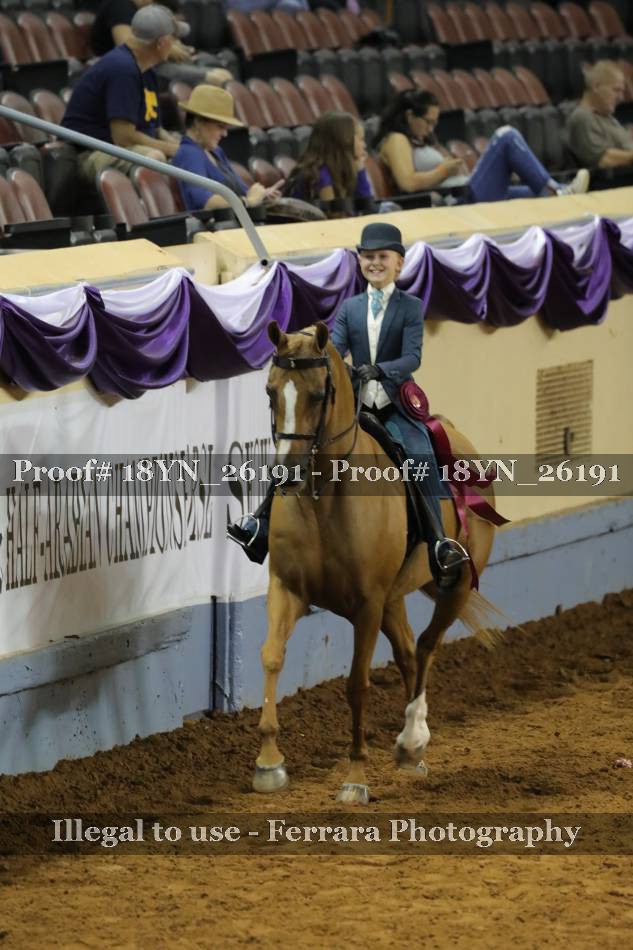 Proof 18YN_26191