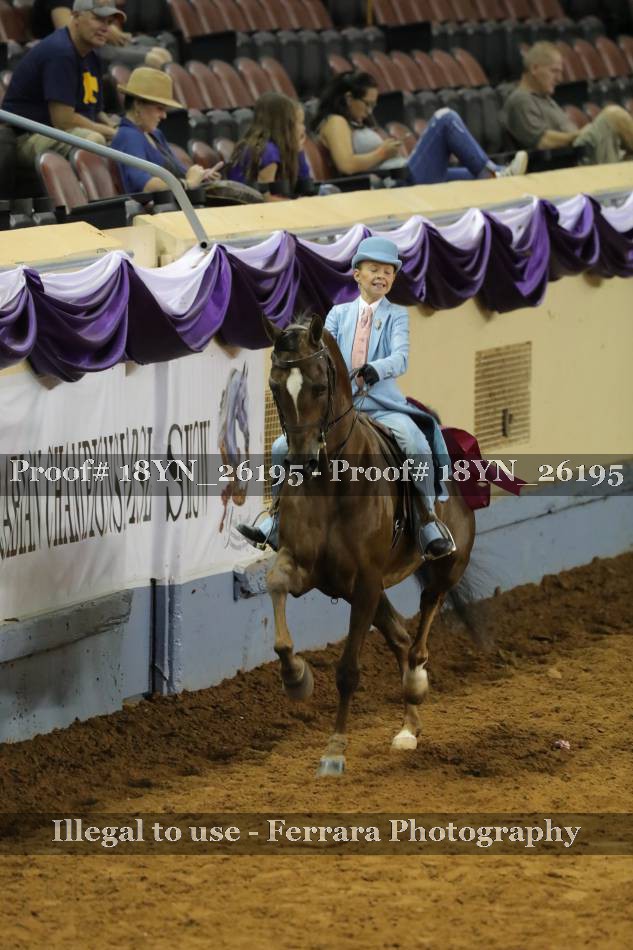 Proof 18YN_26195
