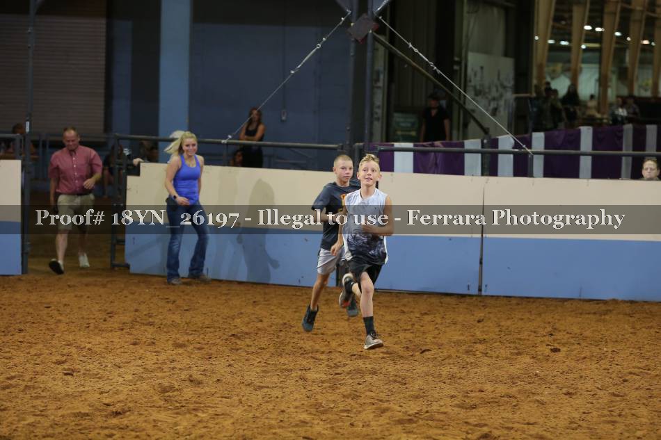 Proof 18YN_26197