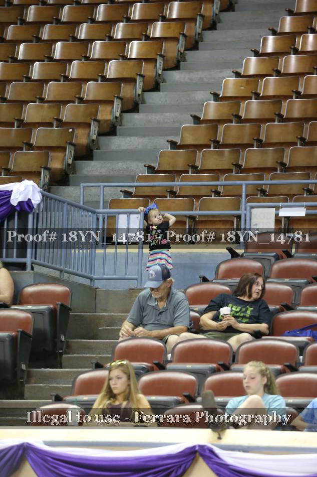 Proof 18YN_14781