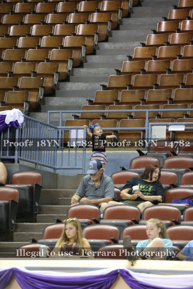 Proof 18YN_14782