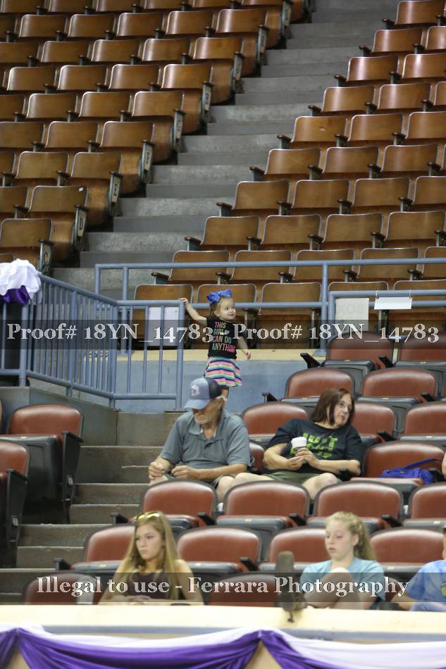 Proof 18YN_14783