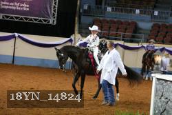18YN_14824 proof