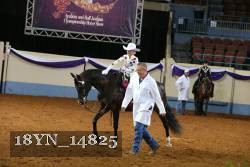 18YN_14825 proof