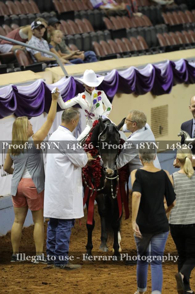 Proof 18YN_14826