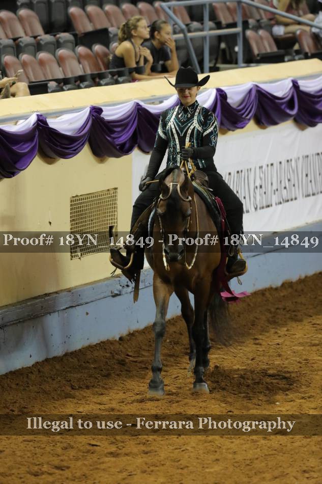 Proof 18YN_14849