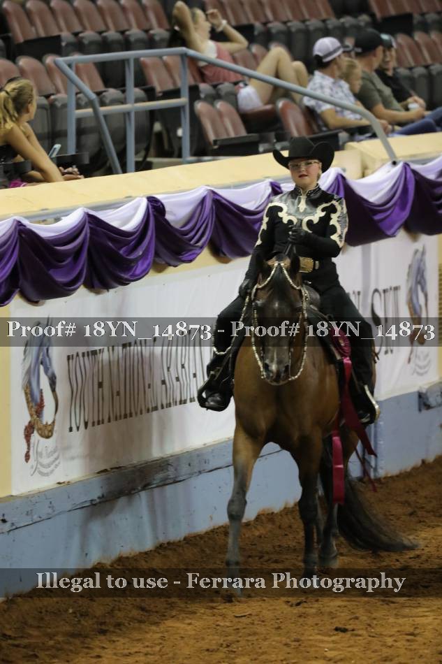 Proof 18YN_14873