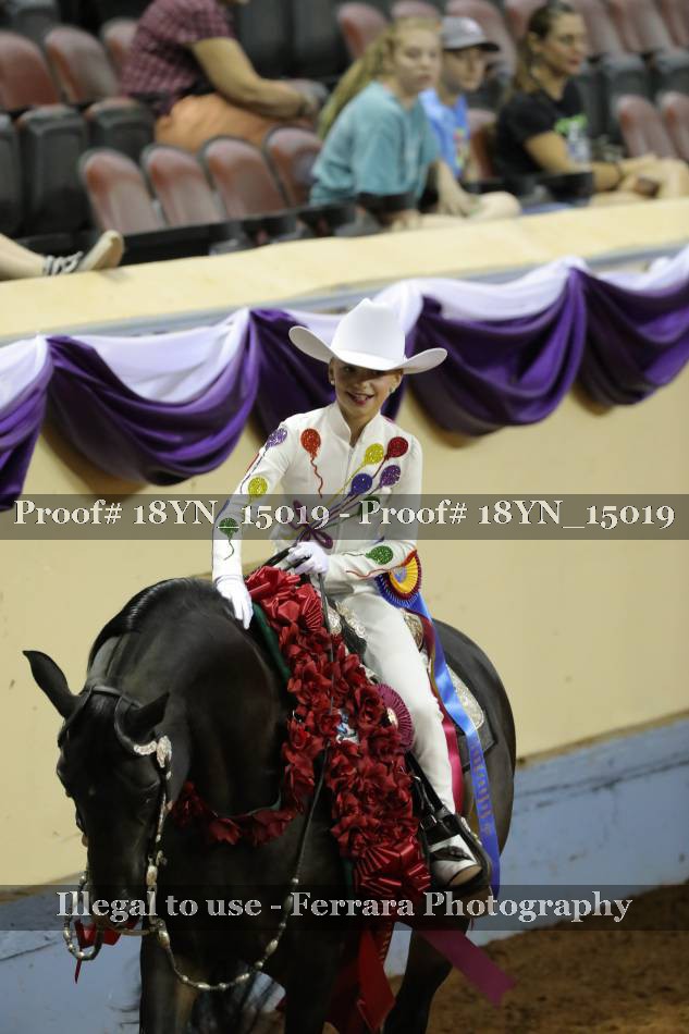 Proof 18YN_15019