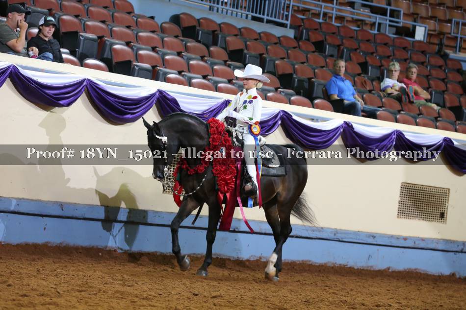 Proof 18YN_15021