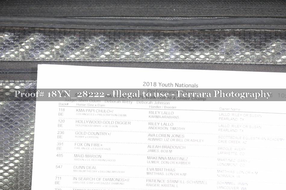 Proof 18YN_28222