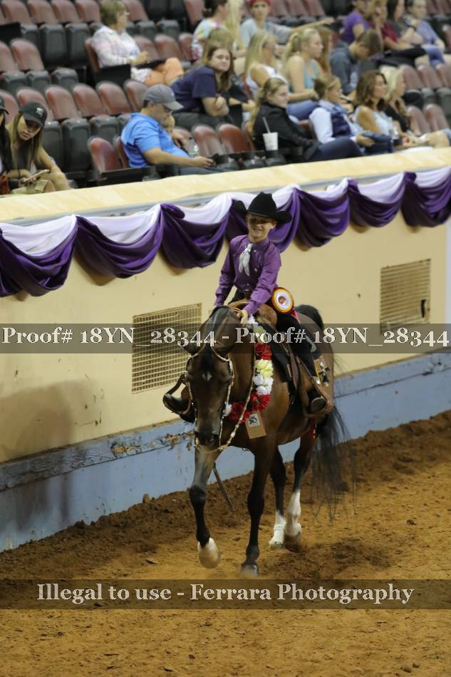 Proof 18YN_28344