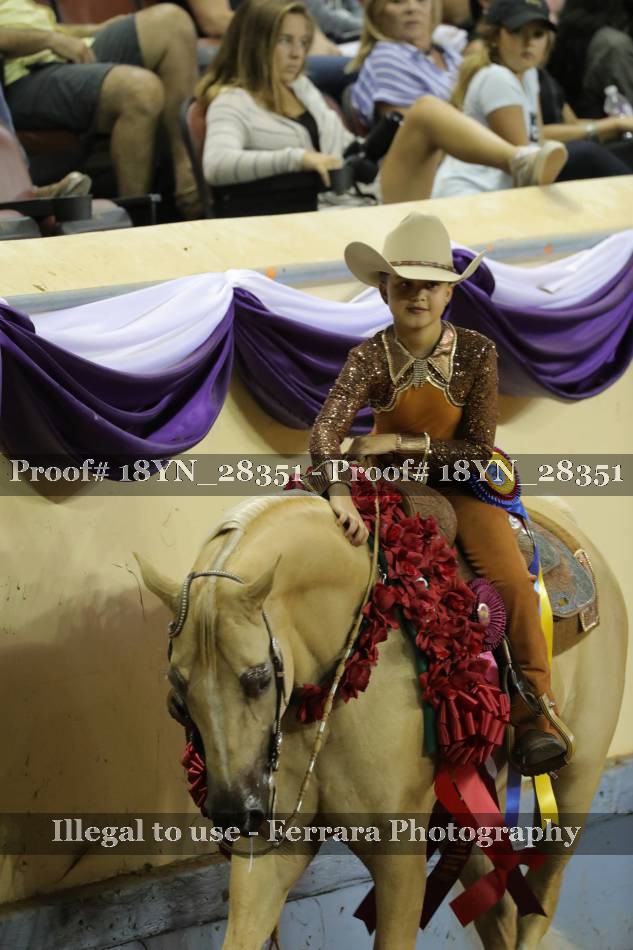 Proof 18YN_28351