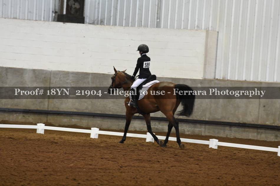 Proof 18YN_21904