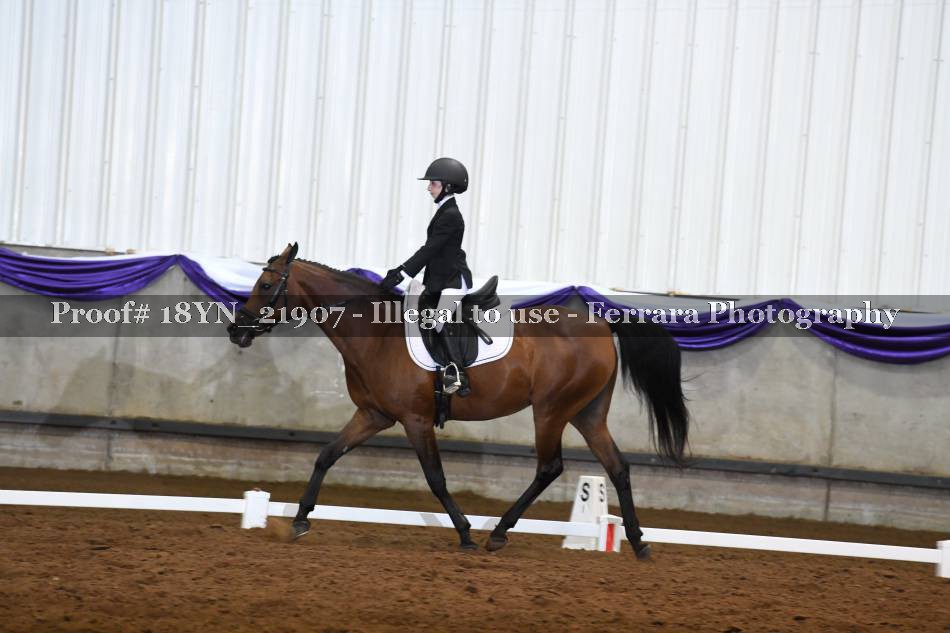 Proof 18YN_21907