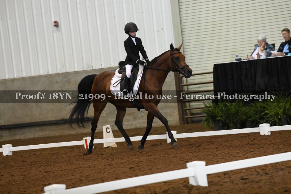 Proof 18YN_21909
