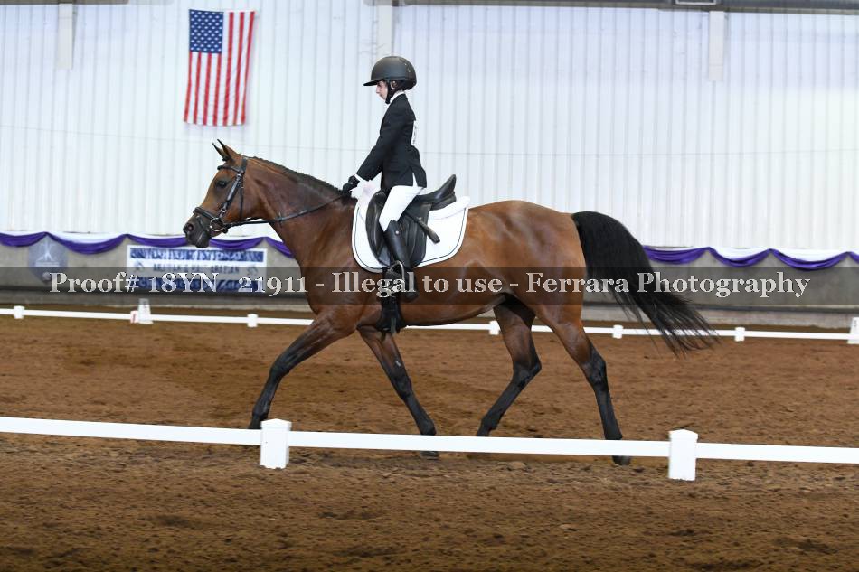 Proof 18YN_21911
